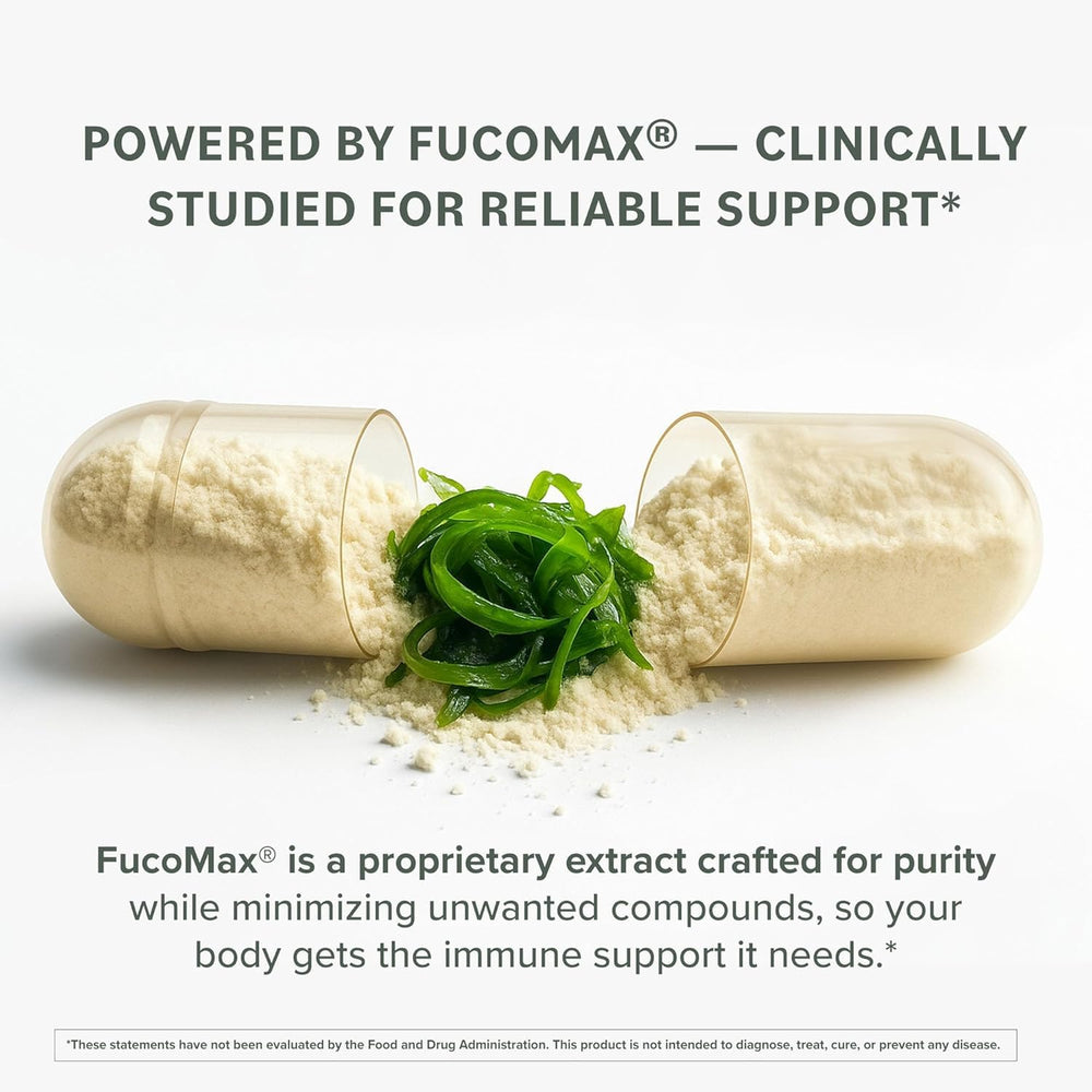 Prominent Nutrition Fucoidan extraction process preserves potency.