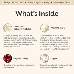 ProMix Nutrition Collagen Beauty Elixir ingredients-panel highlights grass-fed peptides and CoQ10.