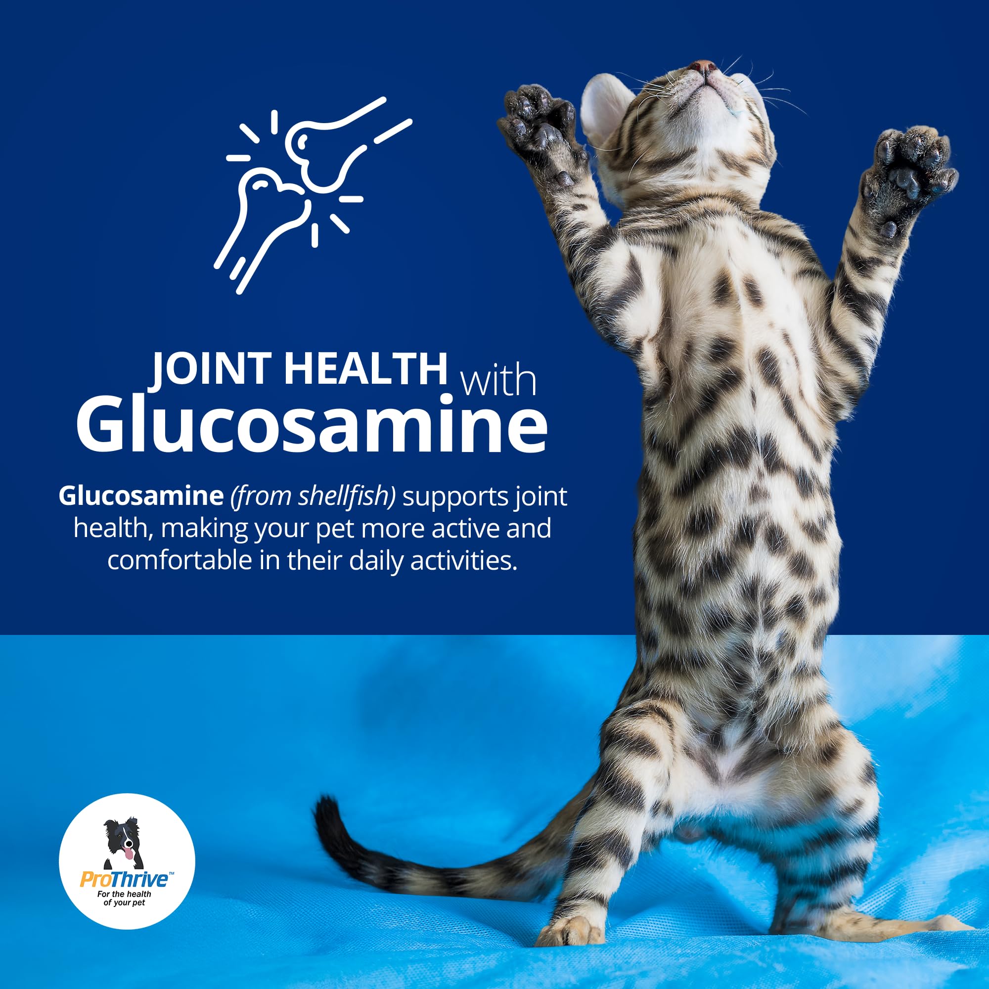 ProThrive Spunky glucosamine joint support tablet for mobility.