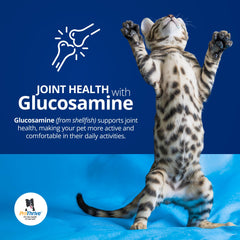 ProThrive Spunky glucosamine joint support tablet for mobility.