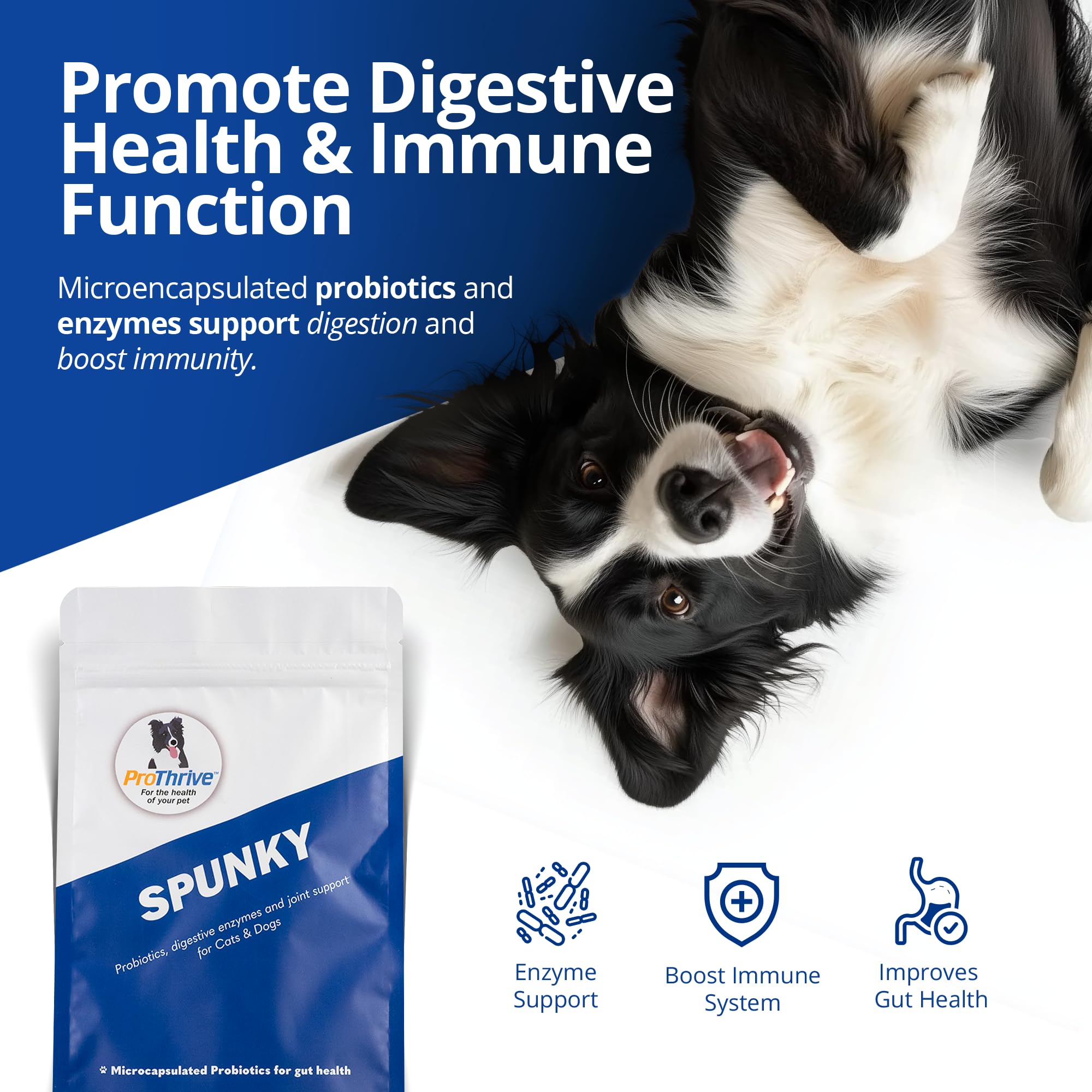 Close-up of the ProThrive Spunky label highlighting ingredients and benefits.