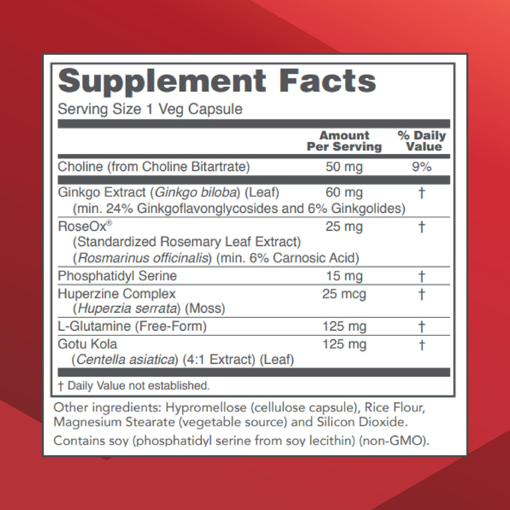 Protocol Brain Regain capsules laid out for easy daily intake and focus support