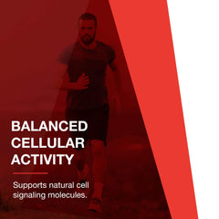 PROTOCOL FOR LIFE BALANCE D-Flame joint support illustration with natural ingredients.