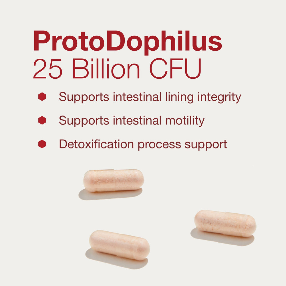 ProtoDophilus bottle on a countertop for daily digestive balance