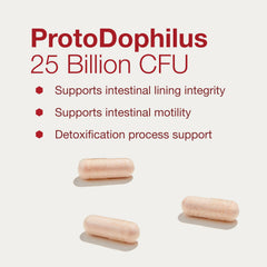 ProtoDophilus bottle on a countertop for daily digestive balance