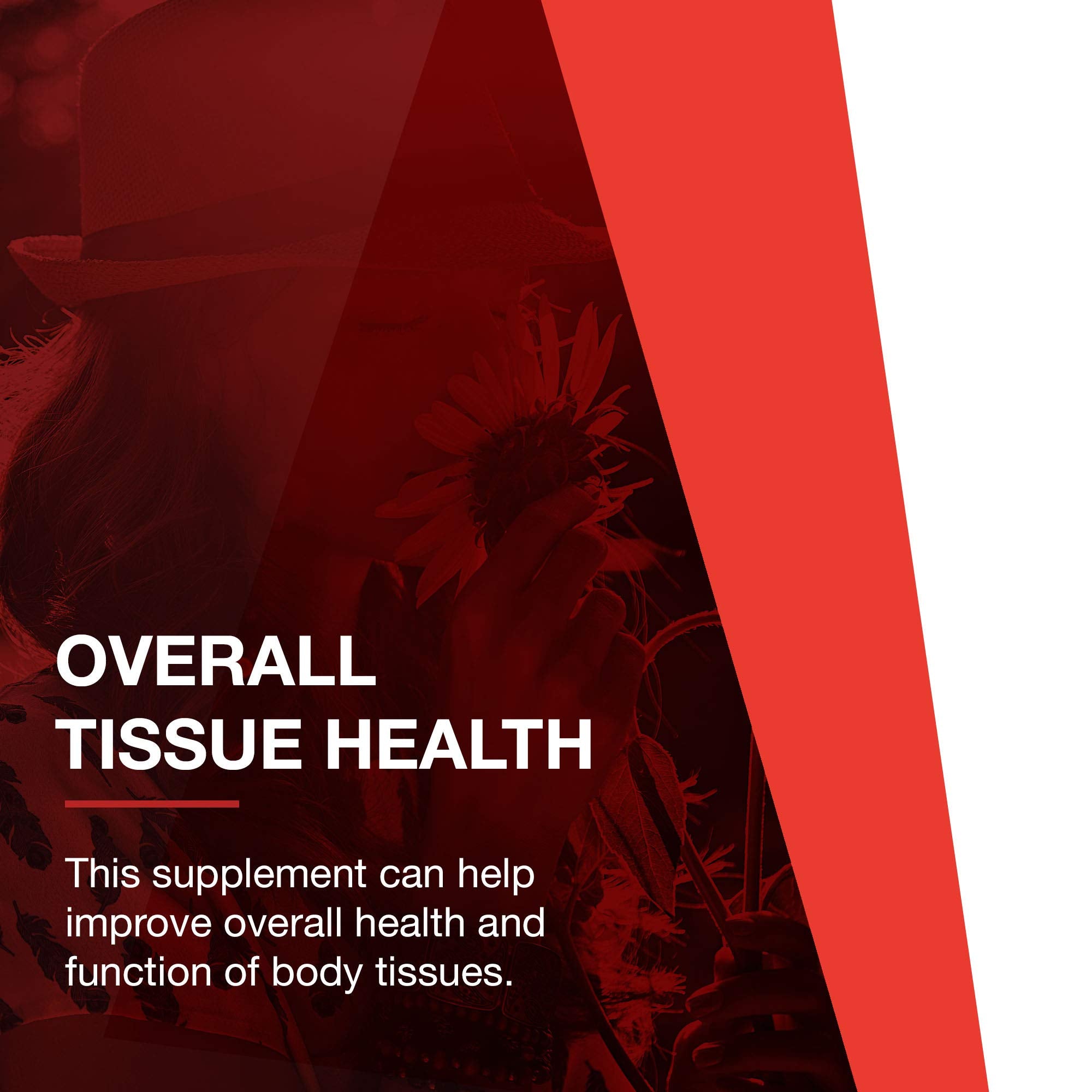 PROTOCOL FOR LIFE BALANCE vegetarian capsules close-up highlighting plant-based convenience