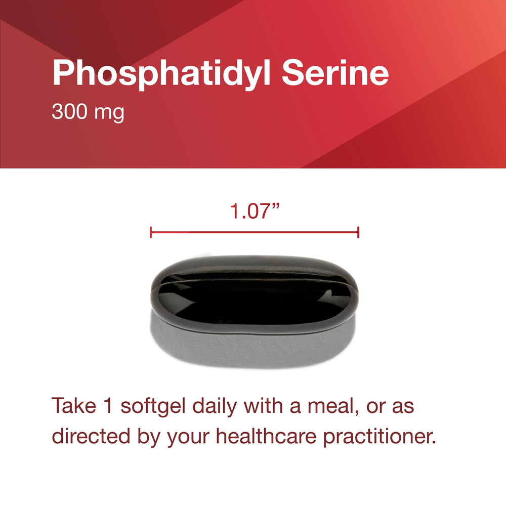 PROTOCOL FOR LIFE BALANCE label-detail-closeup shows egg-free and dairy-free formulation