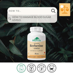 Provita Berberine TPGS capsules close-up shows delayed-release design for steady support.