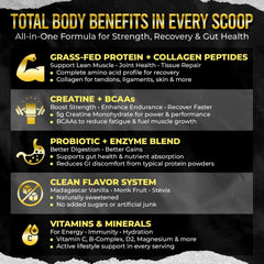 PUMPFIT305 probiotics visual for gut and immune support