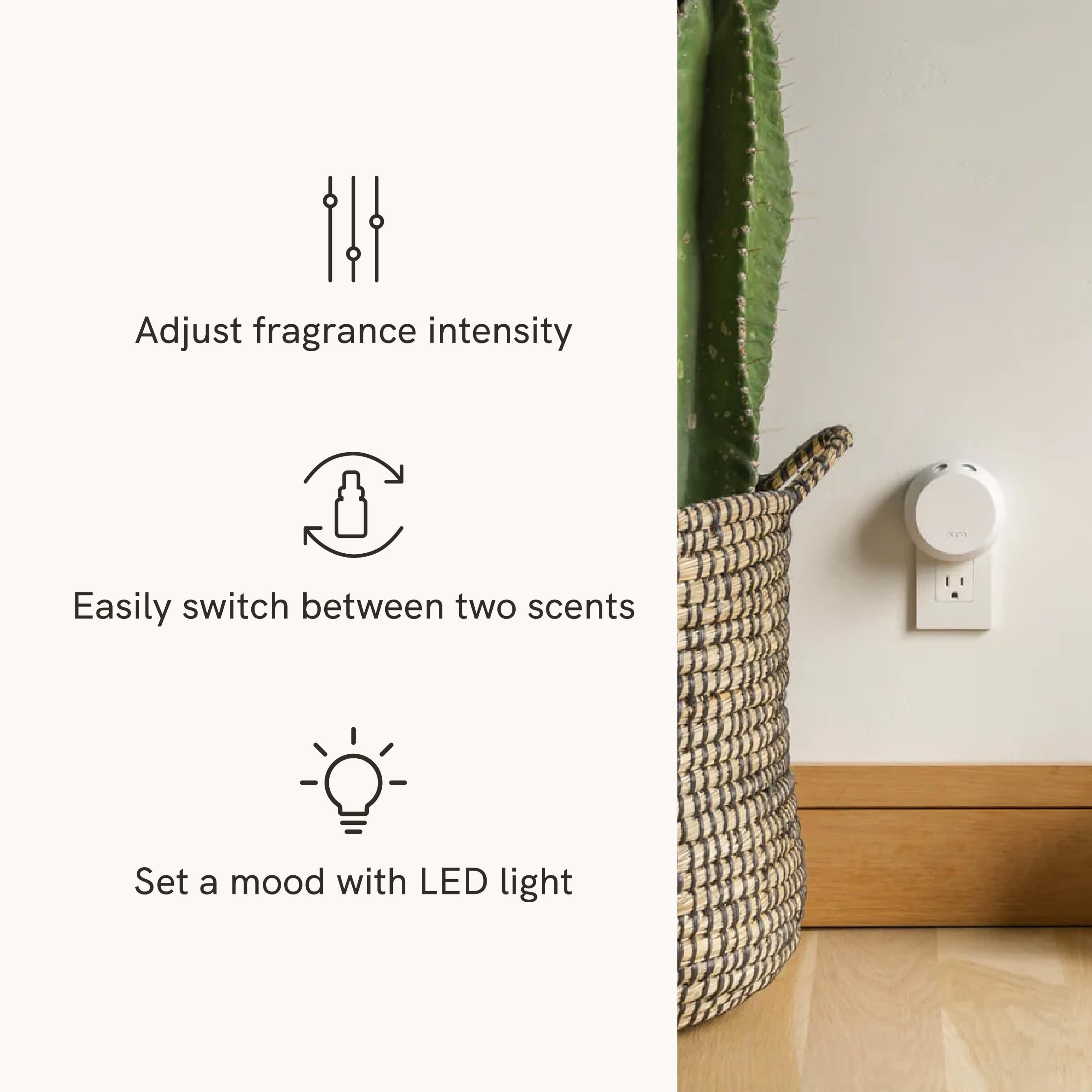 Pura 4 square box packaging presents premium starter set.
