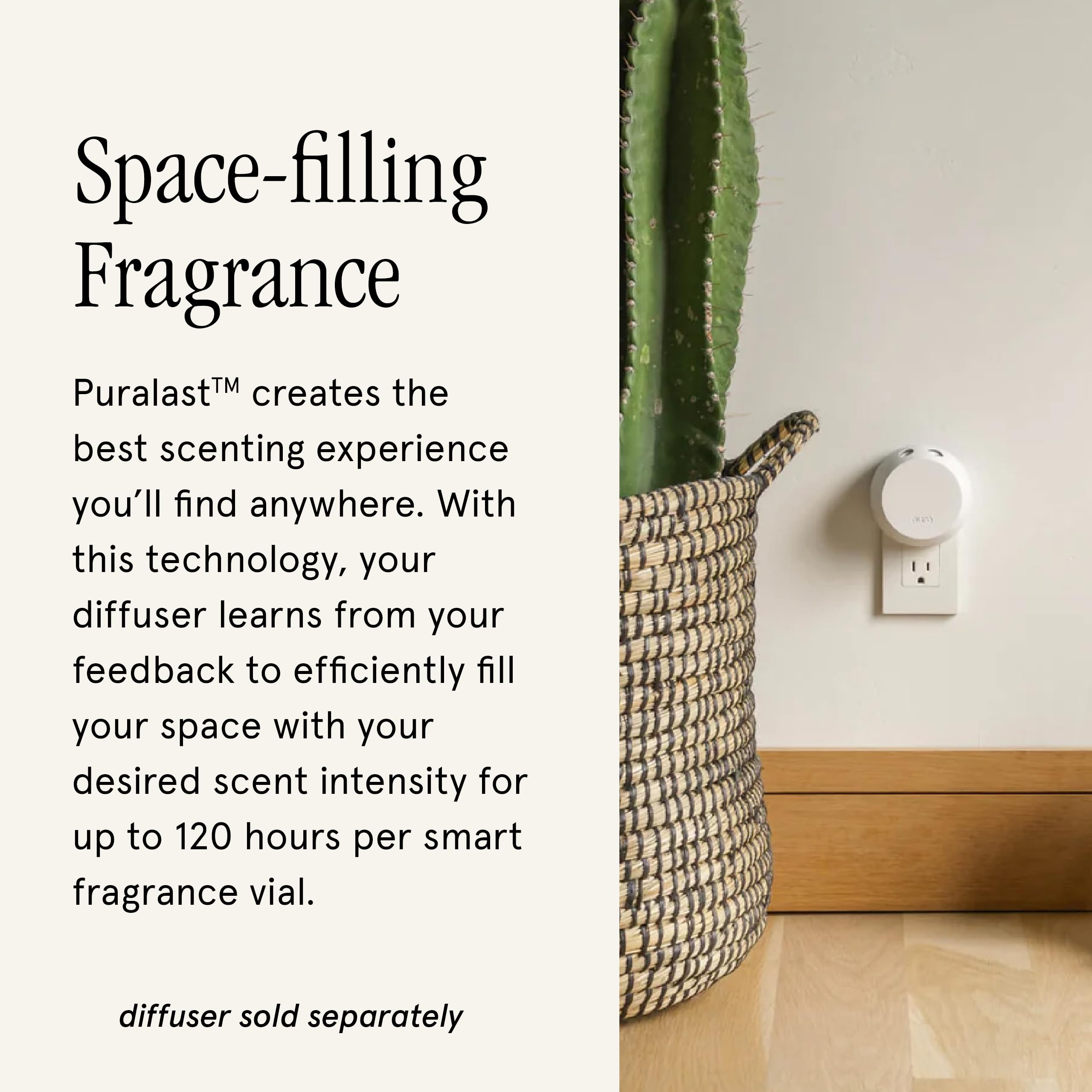 Pura Allos fragrance vial close-up emphasizes long-lasting scent.