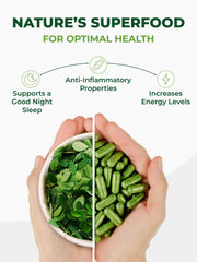 Pura Vida Moringa daily-use capsules ready for morning routines
