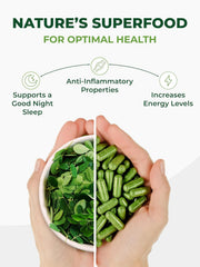PURA VIDA MORINGA daily use supplement image fitting into everyday routine.