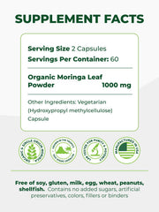 Pura Vida Moringa harvest field showing volcanic soil origin and natural farming