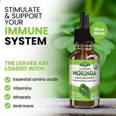 Close-up PURA VIDA Moringa leaves indicates single-origin, nutrient-rich source.
