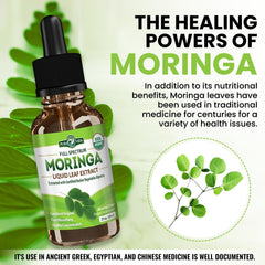PURA VIDA Moringa drops show easy integration into drinks or meals.