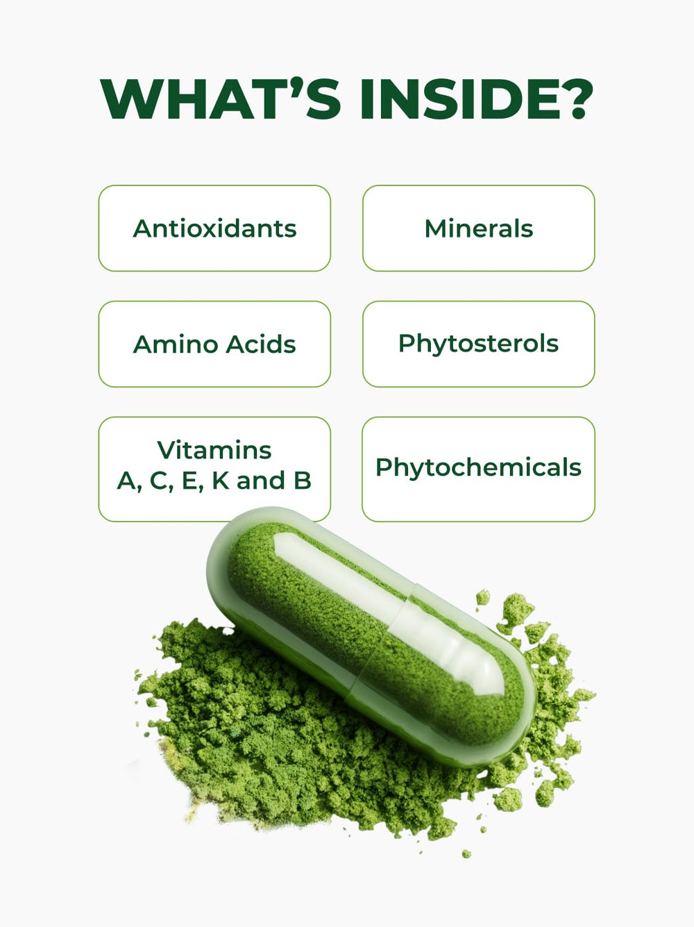 Pura Vida Moringa volcanic soil origin emphasizing mineral-rich growing conditions