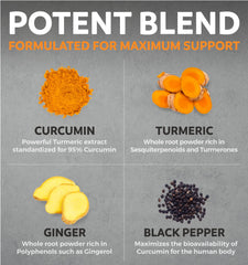 Pure Co organic turmeric ginger extract label emphasizing organic, vegan ingredients.