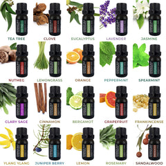 Pure Daily Care Lavender oil bottle 10ml for calming aromas