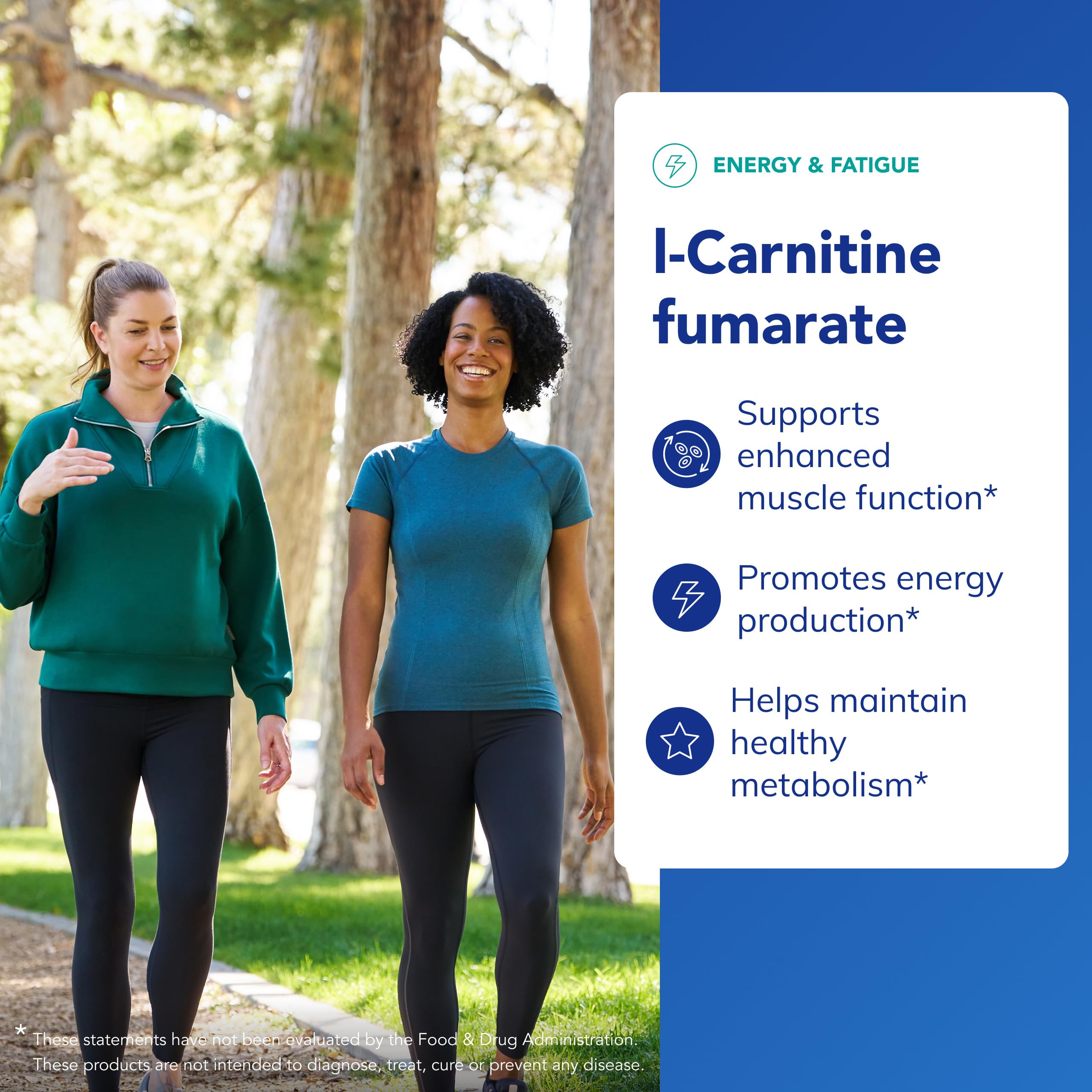 L-Carnitine Fumarate tablets from Pure Encapsulations highlight small capsules