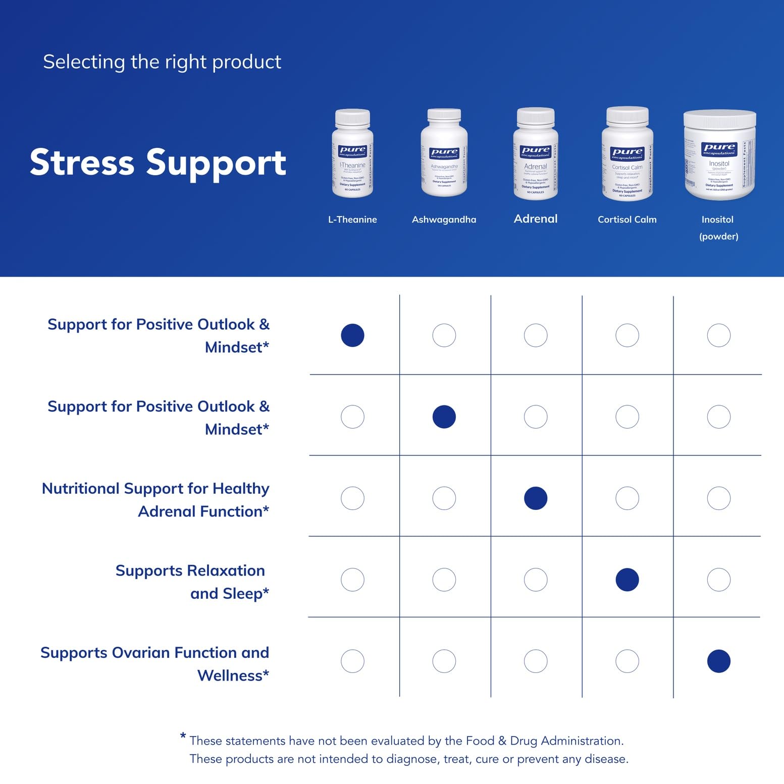 Pure Encapsulations L-Theanine taken as part of a mindful daily routine for calmer mood.