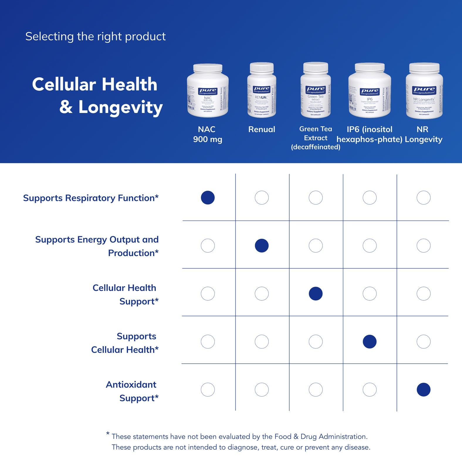 Pure Encapsulations NAC 900 mg capsules in hand for easy dosing