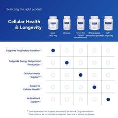 Pure Encapsulations NAC 900 mg capsules in hand for easy dosing