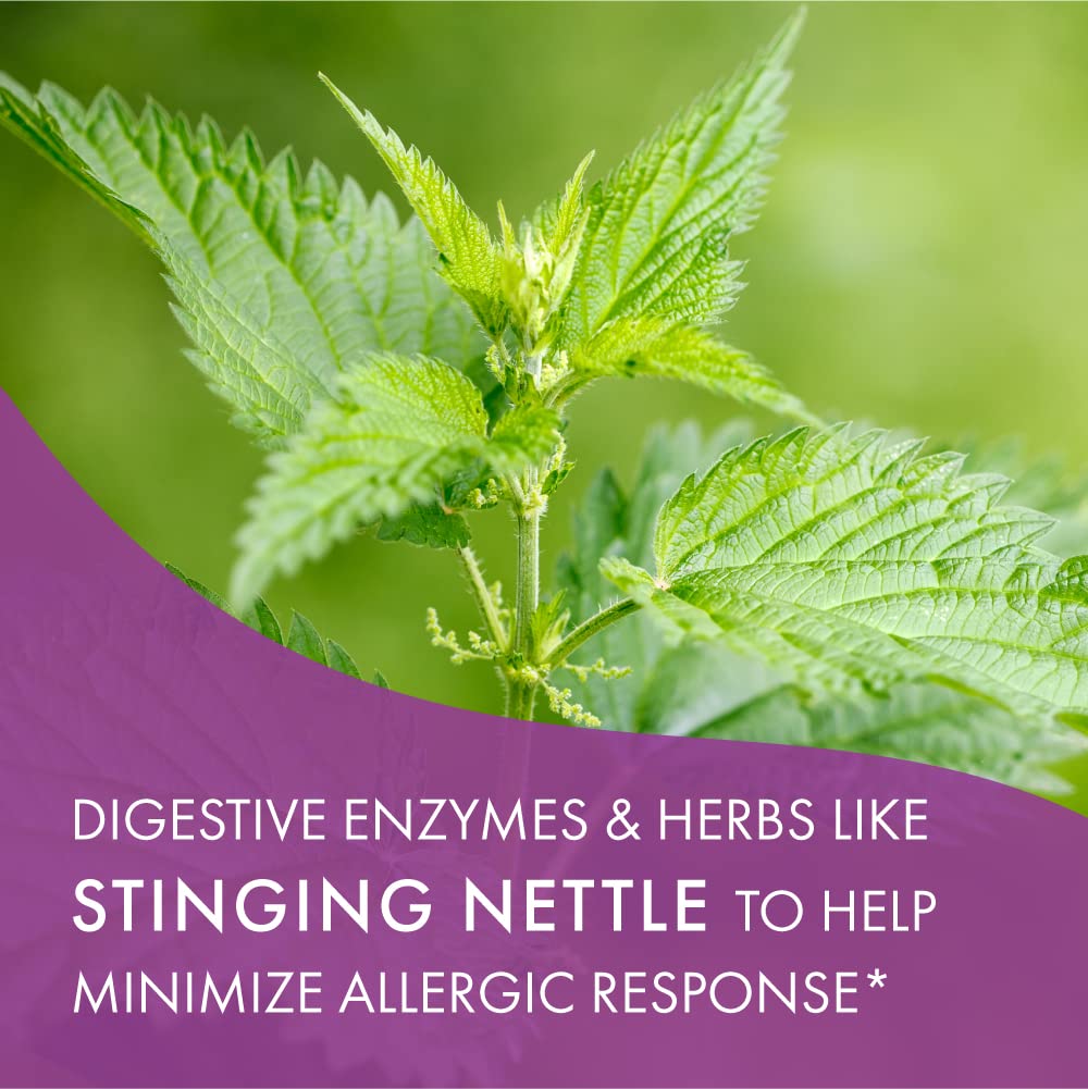 Nature-inspired scene with AllerFree herbs and plant-based ingredients for allergy relief.