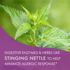 Nature-inspired scene with AllerFree herbs and plant-based ingredients for allergy relief.