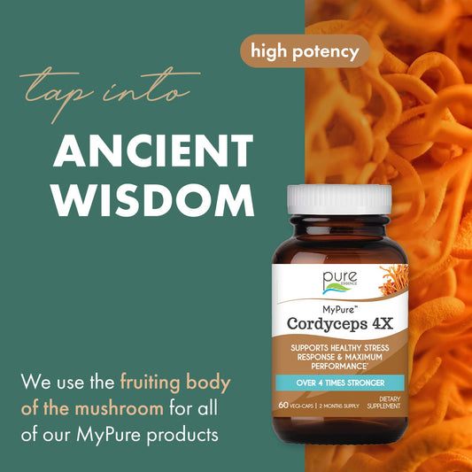 MyPure Cordyceps capsules arranged in a bottle for convenient daily supplementation.
