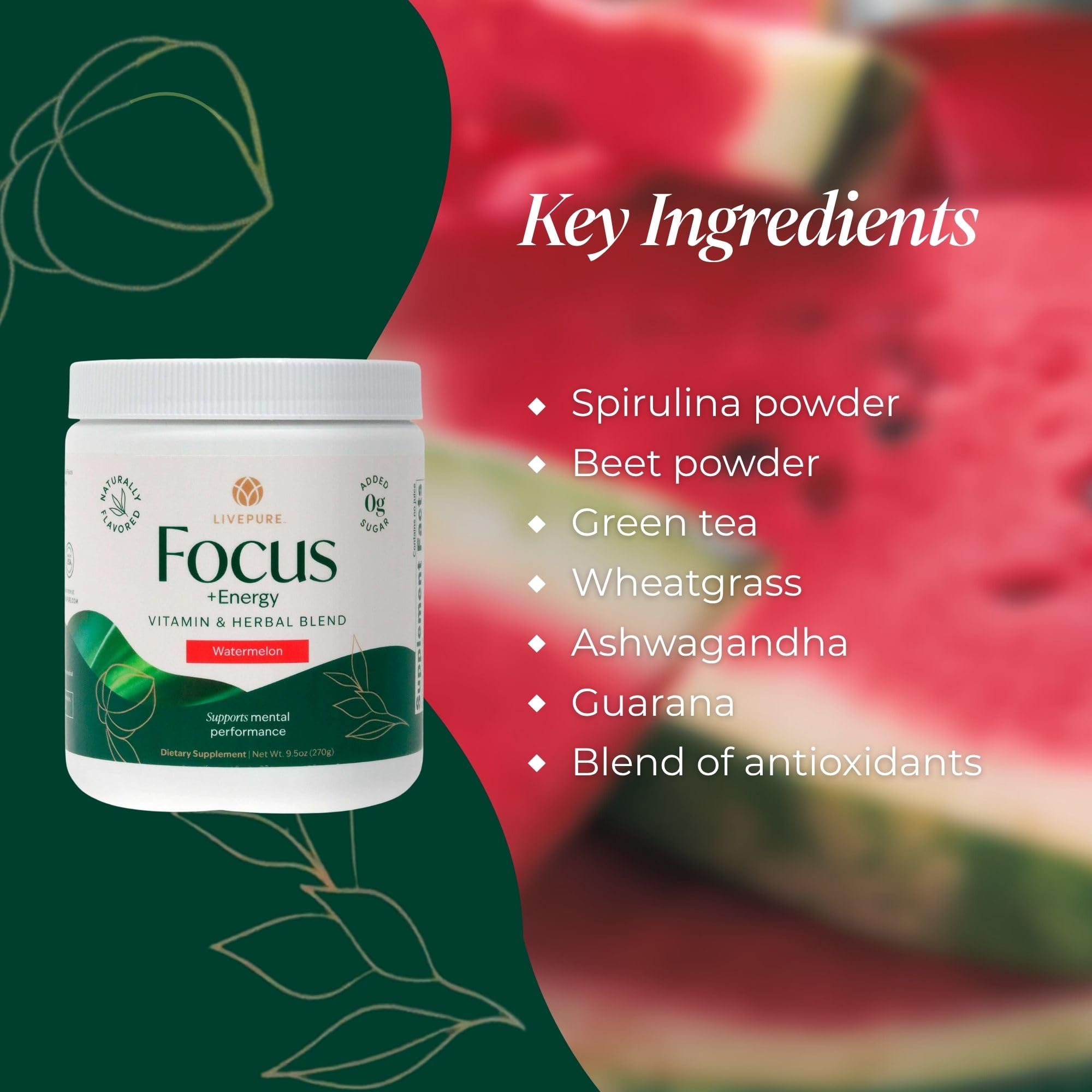 PURE Focus Energy jar close-up highlights clean label and natural caffeine source