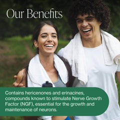 Pure Micronutrients Chaga Cordyceps Turkey Tail capsules closeup signaling natural vitality