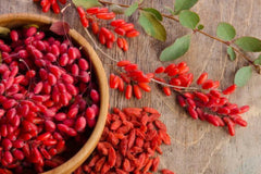 PURE ORIGINAL INGREDIENTS Berberine capsules close-up shows smooth swallowing ease