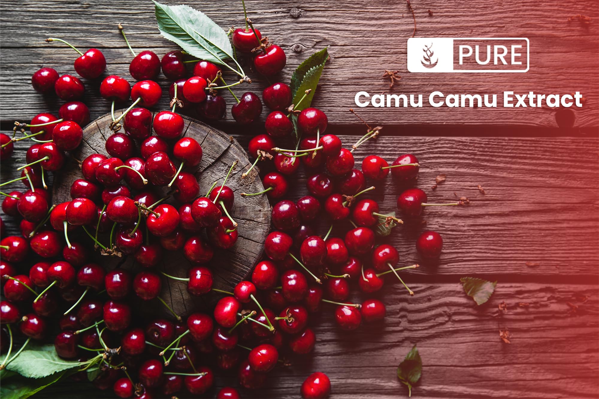 Camu Camu powder in a bowl ready to blend into smoothies.