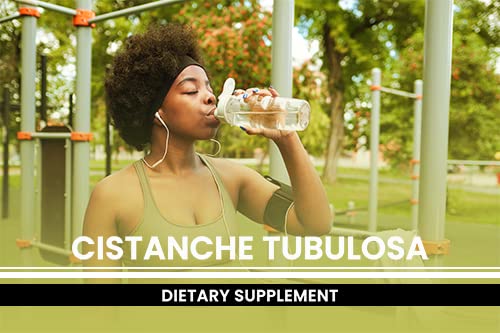 Pure Original Ingredients Cistanche Tubulosa lab verification seal communicates purity and consistency.