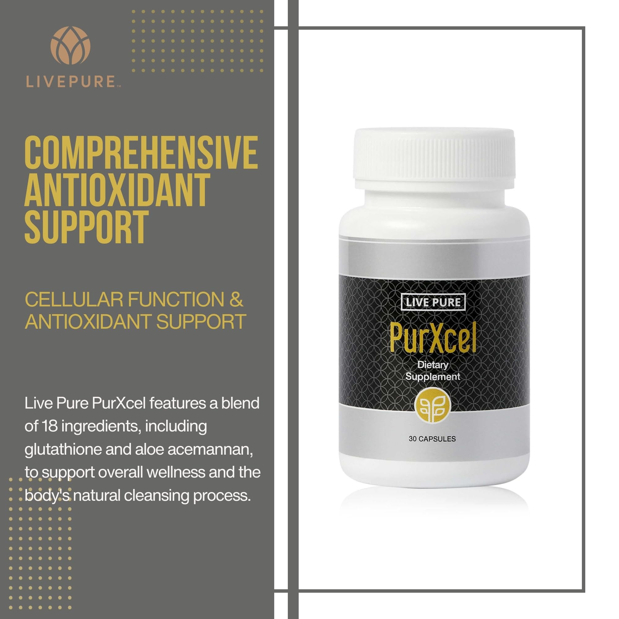 PURE PurXcel bottle side profile highlighting the antioxidant blend for daily wellness.