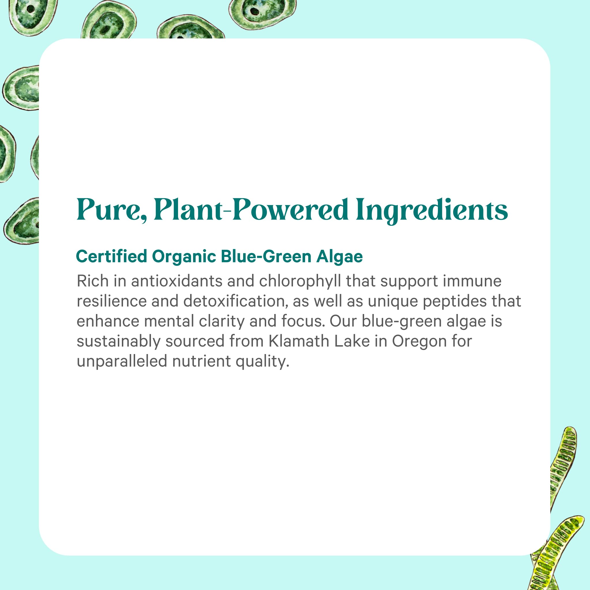 Pure Synergy bottle with glass of water suggesting easy detox-friendly use.