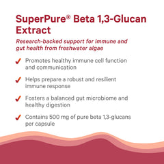 PURE SYNERGY digestive balance illustration suggests gut wellness benefits