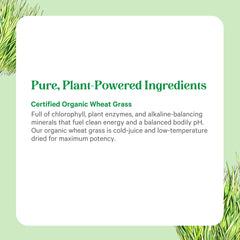 Pure Synergy green smoothie with wheat grass showcases a fresh daily greens ritual.