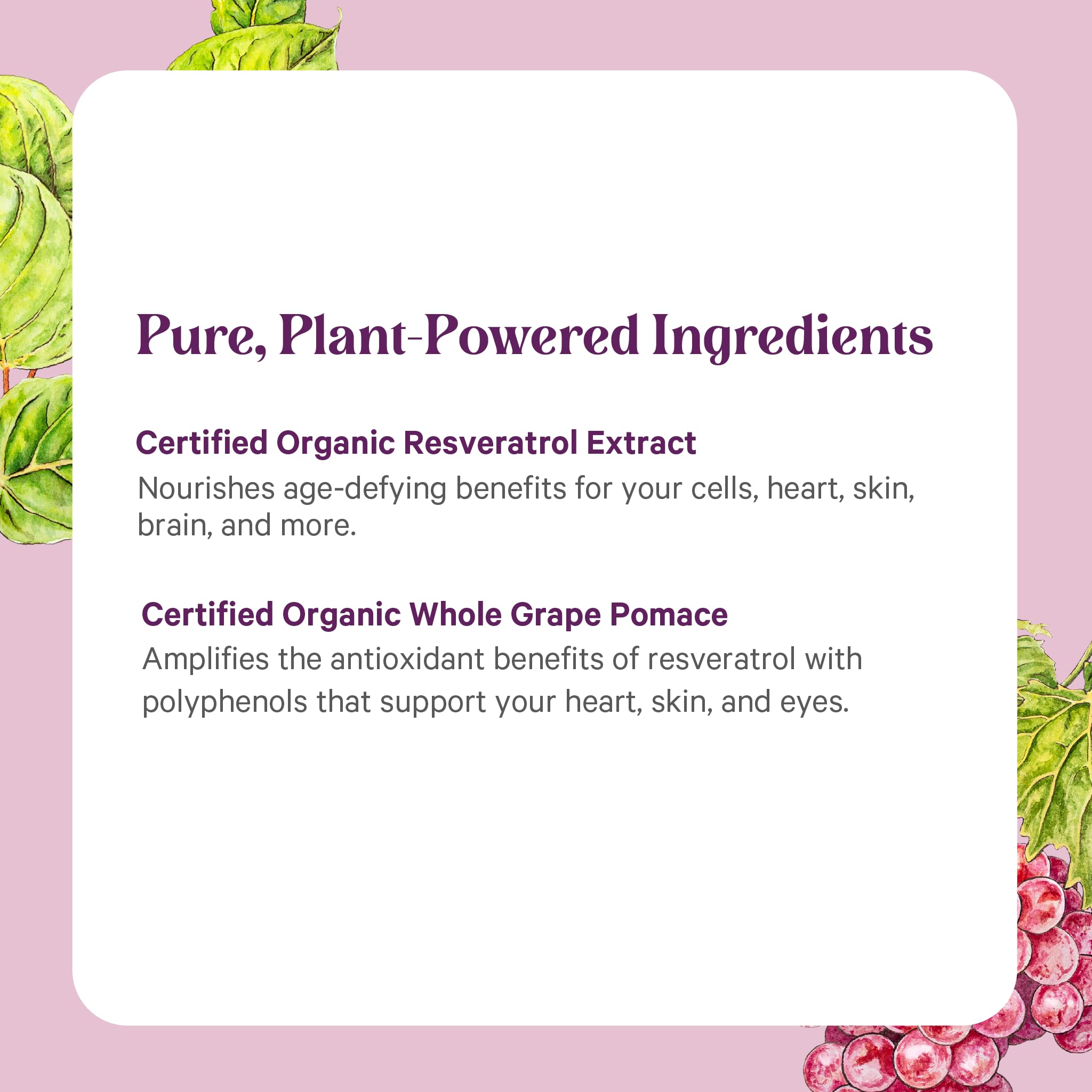 PURE SYNERGY made-in-USA label on the bottle