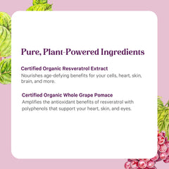 PURE SYNERGY made-in-USA label on the bottle