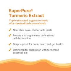 Pure Synergy non-GMO icon reflecting quality ingredients.