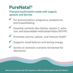 Pure Synergy PureNatal preconception and pregnancy focus underscores essential nutrient support.
