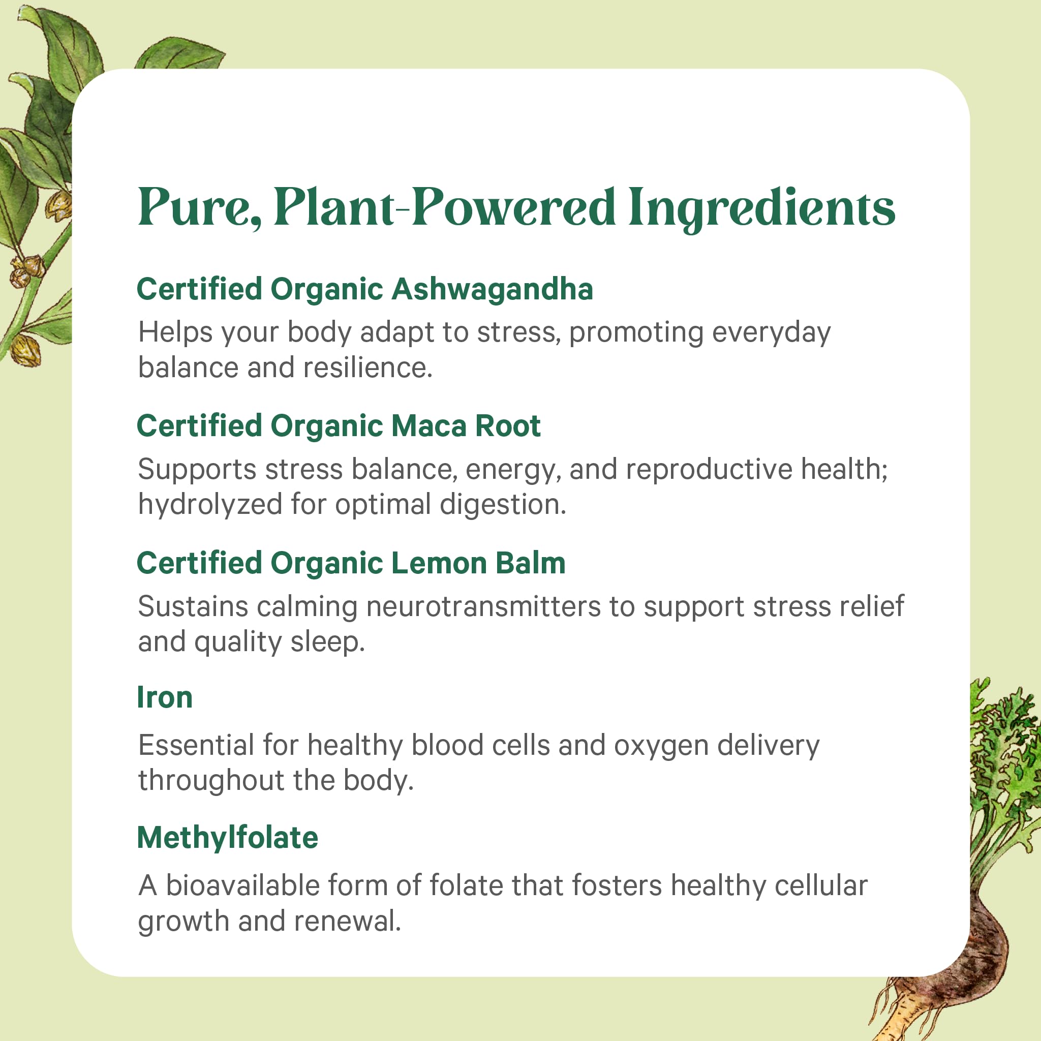 Pure Synergy Vita-Min-Balance ingredients list featuring organic, non-GMO components