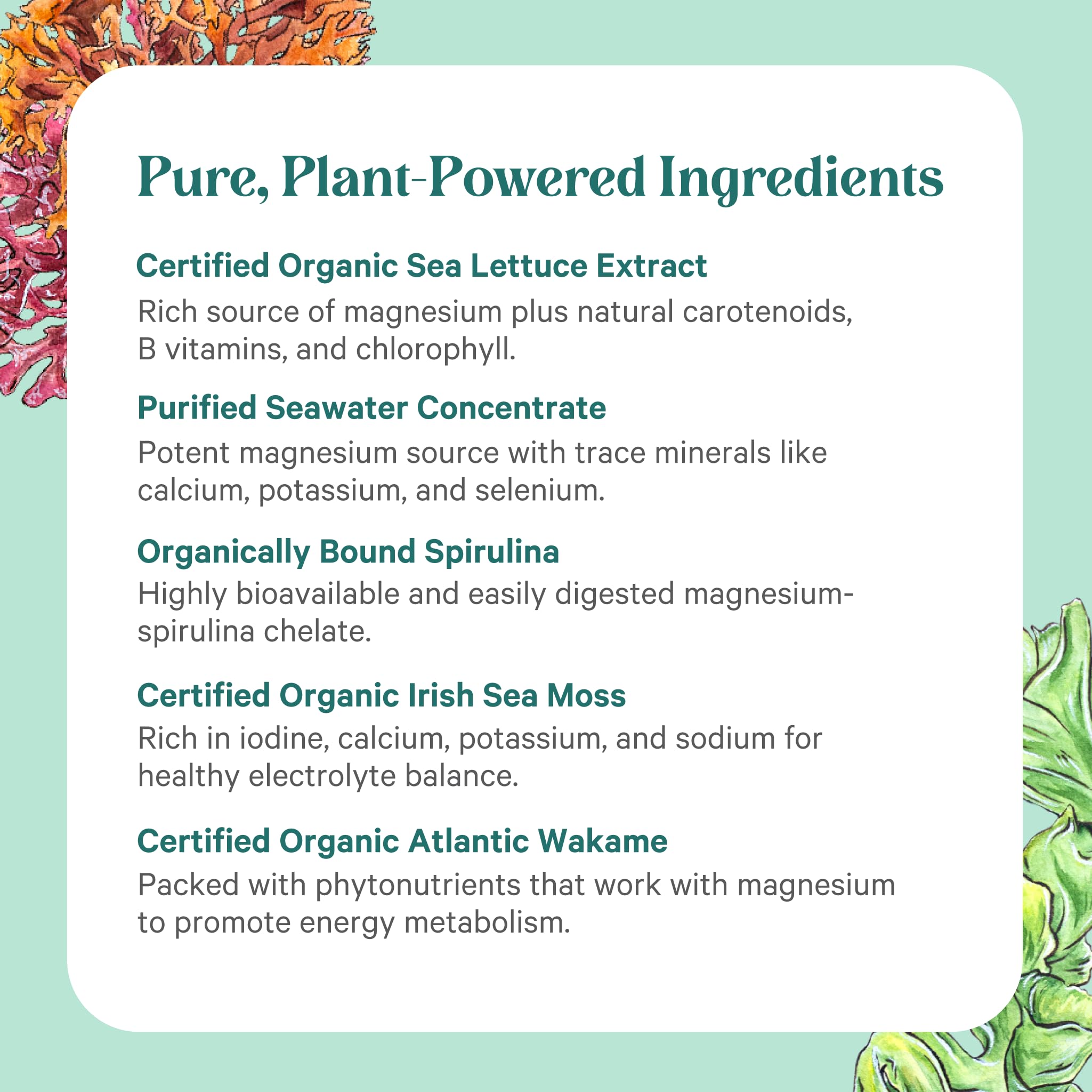 Pure Synergy Vital Ocean Magnesium daily use capsule promotes consistent routine