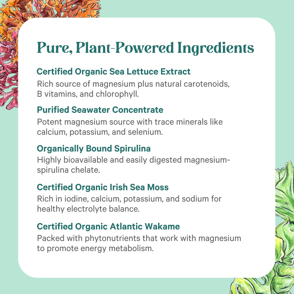 Pure Synergy Vital Ocean Magnesium daily use capsule promotes consistent routine