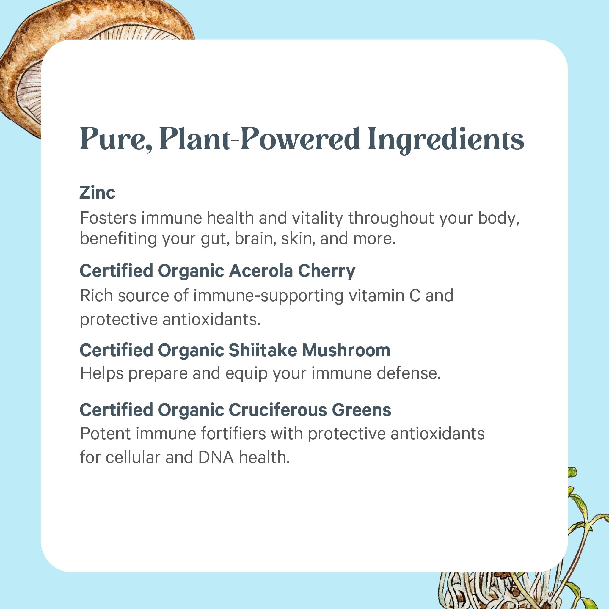 Organic whole food matrix with mushrooms and vegetables in Pure Synergy.
