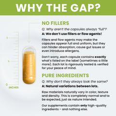 Pure Therapro Rx Curcumin turmeric extract close up showing antioxidant rich formula.