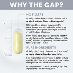 Pure Therapro Rx Zinc Defense Quercefit absorption illustration showing enhanced uptake
