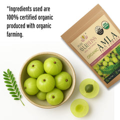 PureAyurbliss amla powder in a glass bowl ready for mixing smoothies